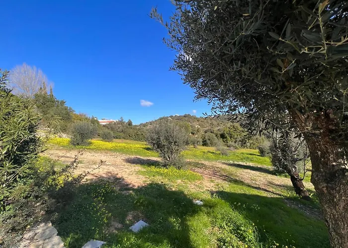 Quinta Do Olival - Casa Figueira - Calm & Wellness 別荘 *