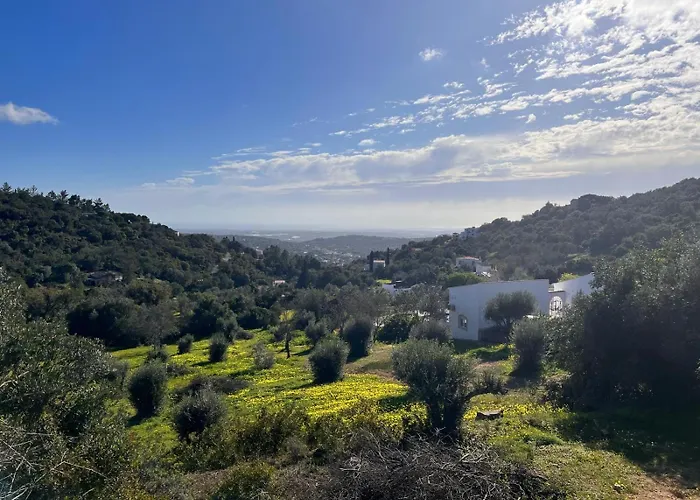 Quinta Do Olival - Casa Figueira - Calm & Wellness