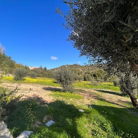 Quinta Do Olival - Casa Figueira - Calm & Wellness Dom wakacyjny *