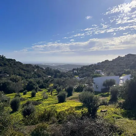 Quinta Do Olival - Casa Figueira - Calm & Wellness